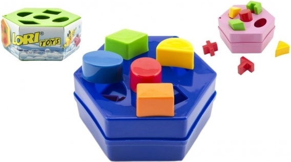 Plastic Hexagon Shape Sorter Toy for Children 12m+