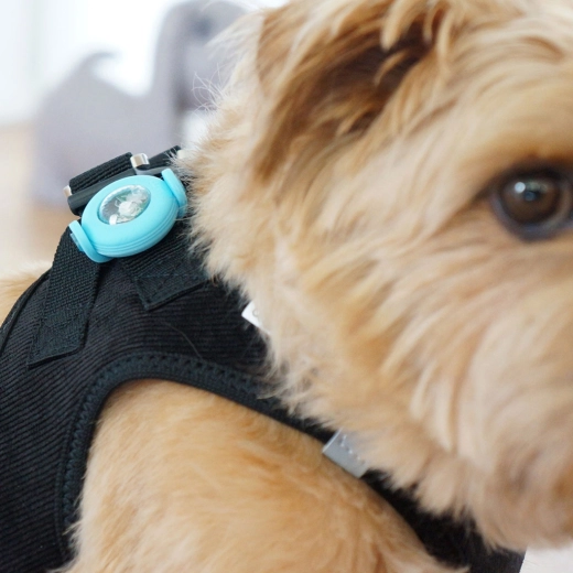 Easy to clip onto a collar, harness, or leash