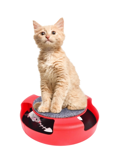 Interactive circular cat toy with mouse and scratching pad 25 × 25 × 7 cm