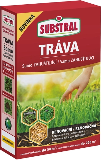 Self-thickening renovation grass seed mix EVERGREEN 1 kg