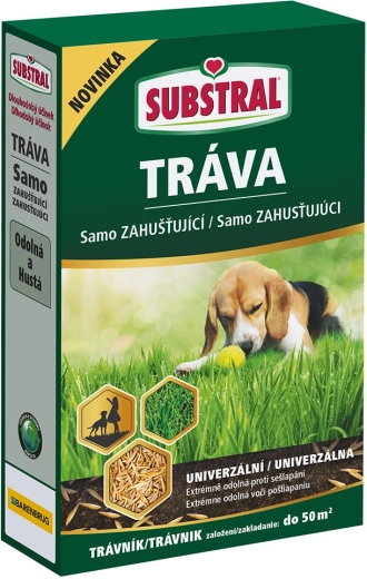 Самозагъстяваща тревна смес EVERGREEN 1 кг
