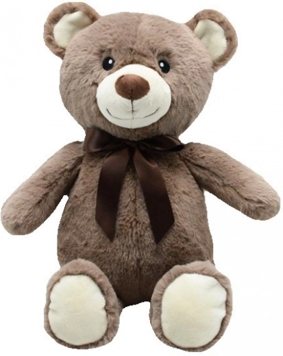 Plush Teddy Bear Zbyš brown 30 cm