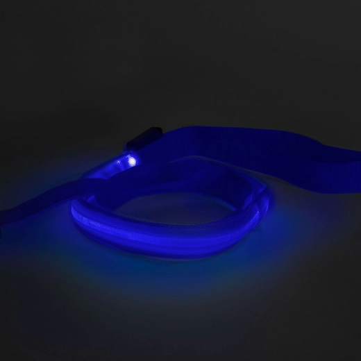 LED Dog Leash with Rechargeable Battery, 120 × 2.5 cm, Blue