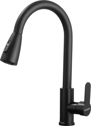 Renew Force kitchen faucet with pull-out flexible spout