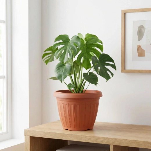 Plastic flower pot in terracotta color, 25 cm