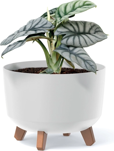 Durable plastic for outdoors and indoors