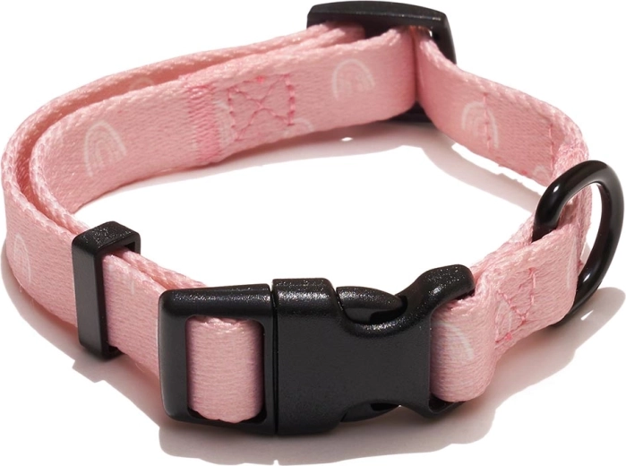 Explorer Dog Collar Rainbow S