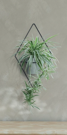 Suitable for walls for neat plant arrangement