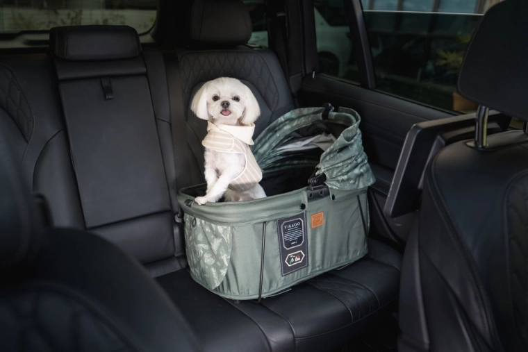 Safety and stability while traveling