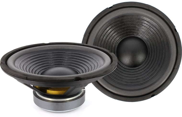 10" високоговорителен говорител 250 mm 120/240 W