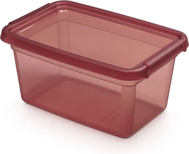 Basestore кутия за съхранение с капак и щипки 4,5 l Rhubarb