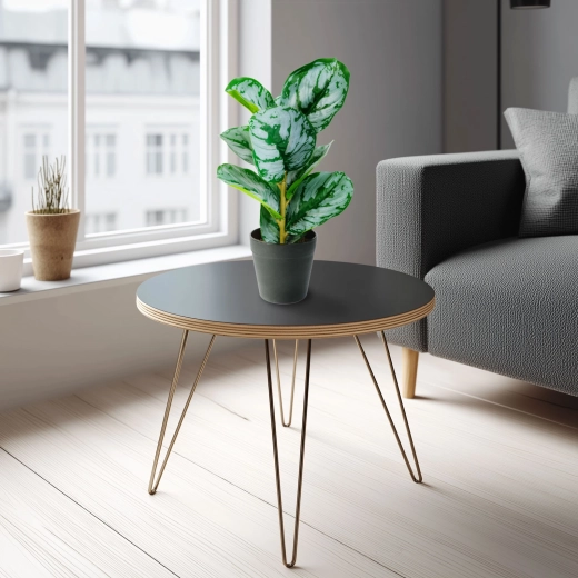 Artificial decorative plant with zebra-patterned green and white leaves