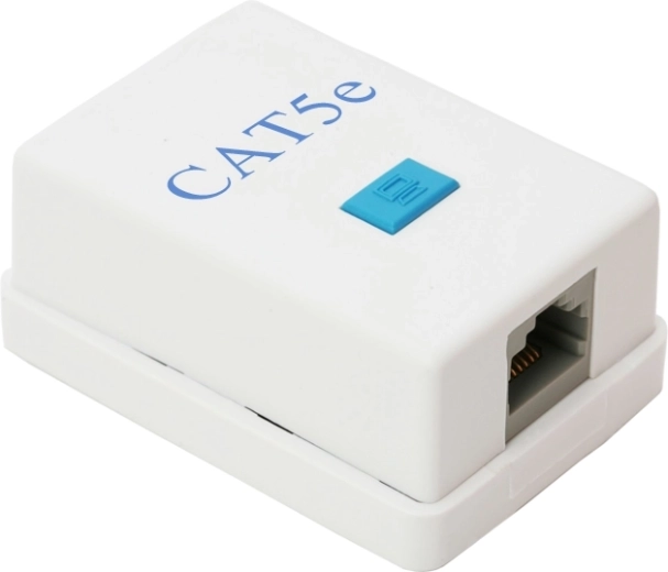 Wall-Mounted RJ45 Cat.5e Network Socket