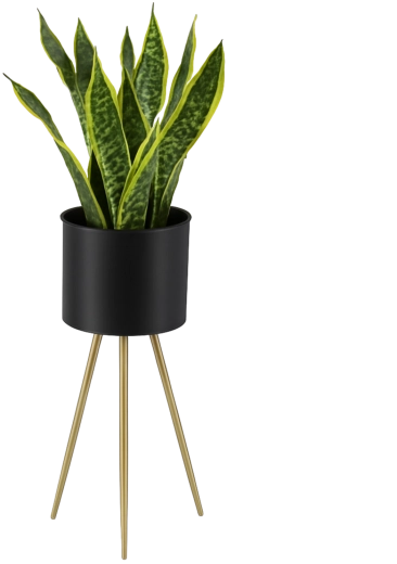 Elegant metal plant stand 60 cm, black with gold legs