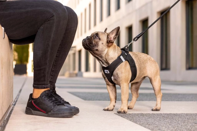 Safe walks: load distribution and reflective elements