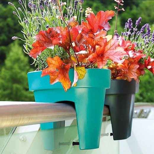 Пестене на място и красива презентация