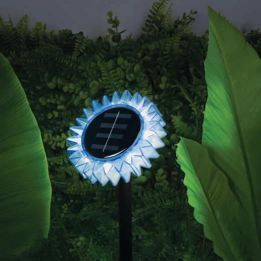Solar power and automatic lighting