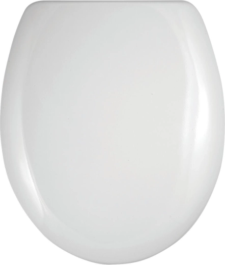 Universal plastic toilet seat with plastic hinges