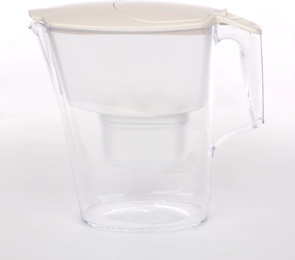 Water filter jug with B100-25 filter