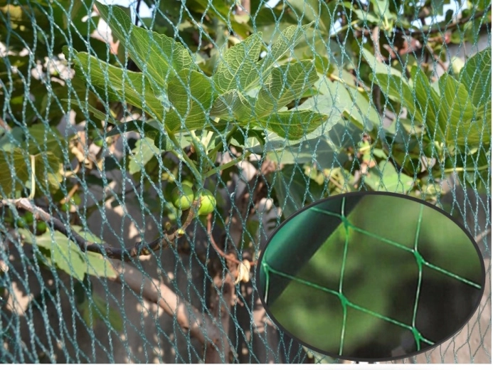 Better harvest and fewer pests