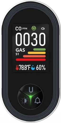 Dual sensor for CO and combustible gases