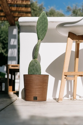 For indoors and outdoors