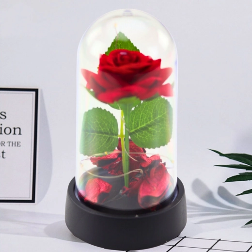 Eternal Rose under a Dome with LED Lighting