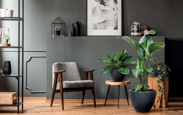 Modern minimalist design