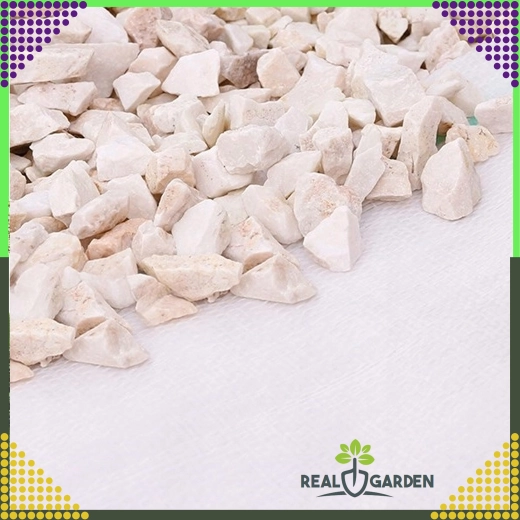 White agrotextile 70 g/m² 1.6 × 100 m weed control + UV anchors