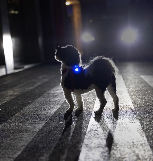 High visibility in the dark