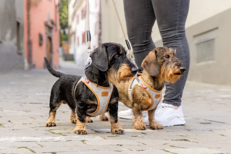 Visibility and confidence on walks