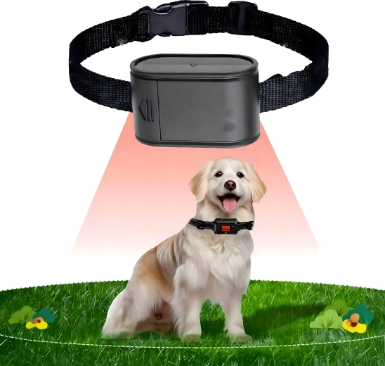 Comfortable and lightweight collar for everyday wear