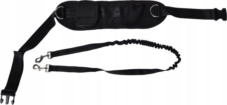 Elastic bungee leash absorbs pulling