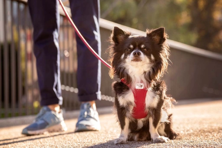 Comfort and freedom of movement thanks to air-mesh