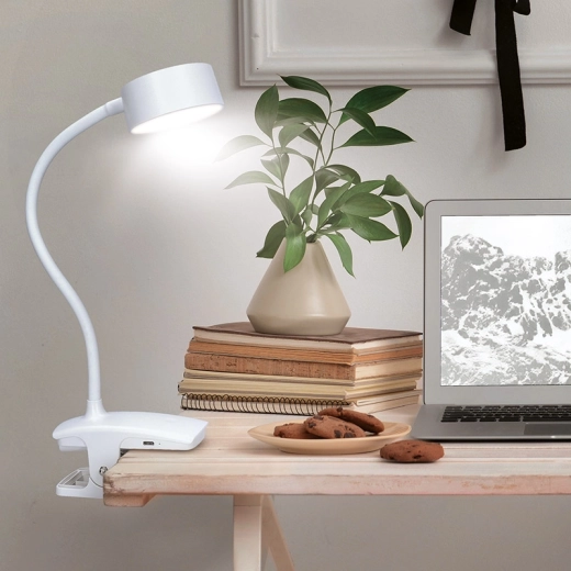 Clip mounting and flexible positioning