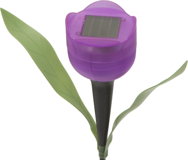 Automatic solar lighting