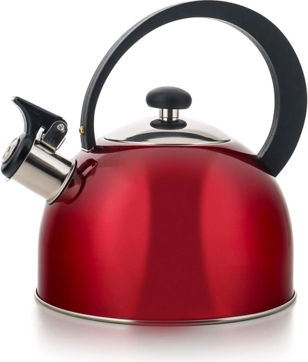 Stainless Steel Teakettle EVORA 2 L with Whistle