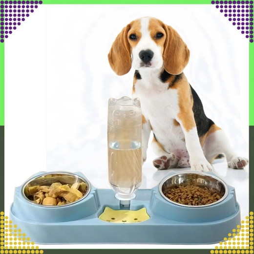 Стабилна и практична основа