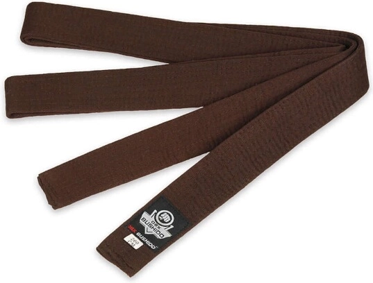 Brown belt for kimono DBX BUSHIDO OBI – 280 cm