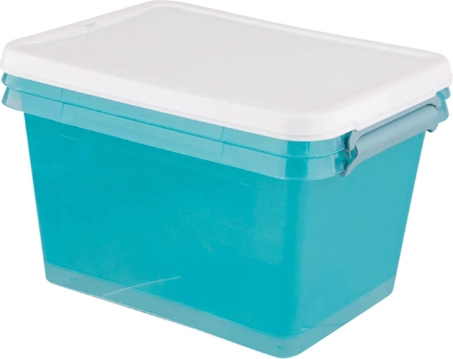 Lid for clean and tidy storage