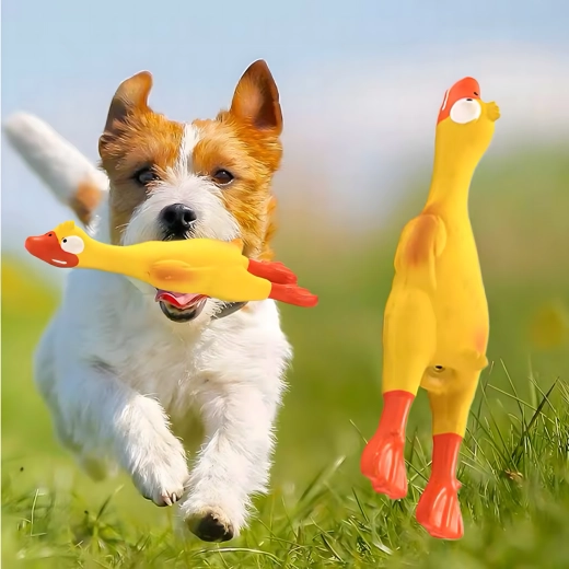 Motivating squeaker for endless fun