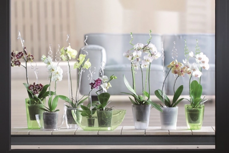 Elegant and discreet support for blossoms