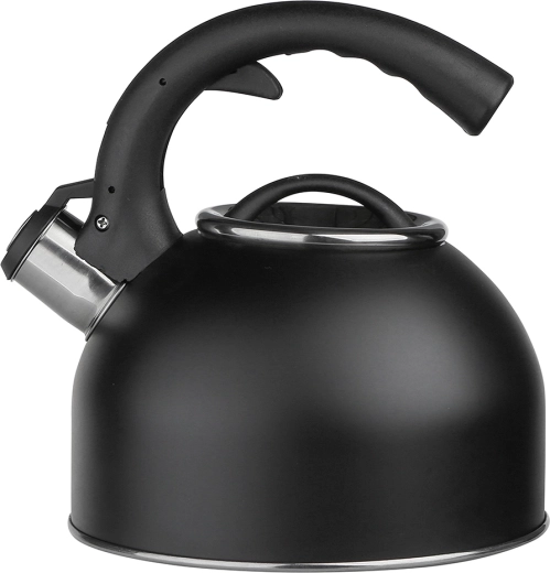 Stainless Steel Stovetop Kettle Martin BZ 2.7 L