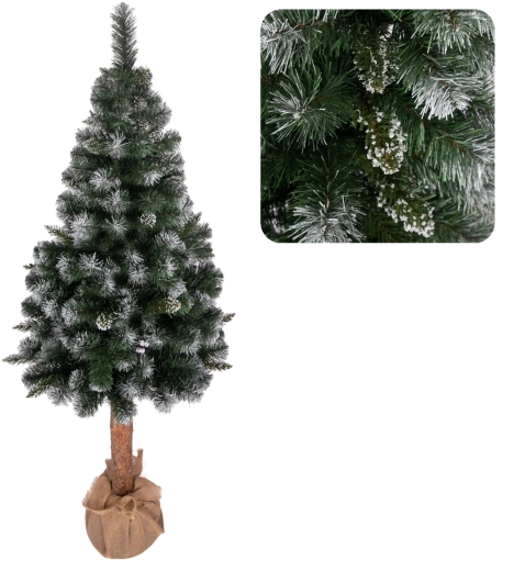 Gently snow-dusted branch effect