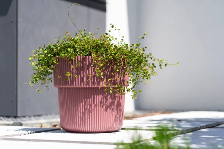 Modern fluted design and stability