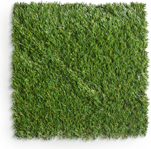 Natural appearance of a green lawn