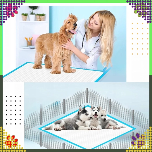 Чистота при обучение и грижа