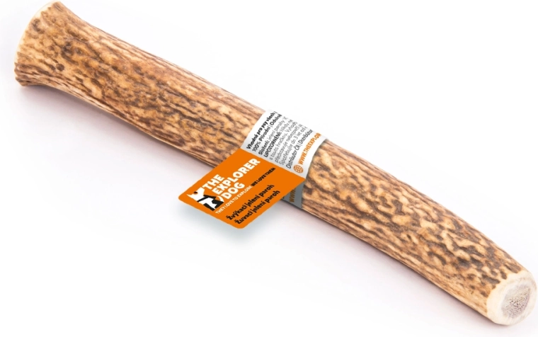 Explorer Dog deer antler chew XXL – hard