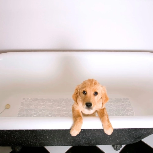 Комфорт и защита за стъпалата