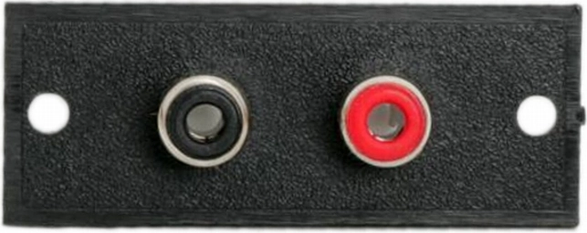 Built-in RCA terminal with 2 sockets
